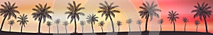 Realistic sea sunset on the background of palm trees - Vector