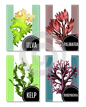 Realistic Sea Weeds Posters Set