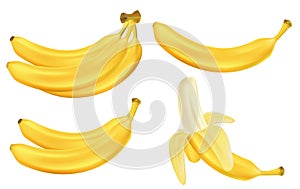 Realistic set of bananas isolated on white. Bunches of fresh yellow banana fruits. Tropical fruits vector illustration