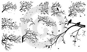 Realistic set of tree branches silhouette Vector illustration .Eps10. AI generated illustration