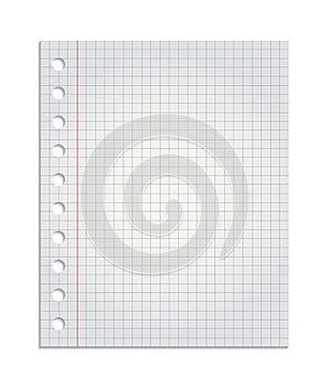 Realistic sheet of squared paper from a exercise book, paper torn from the pad