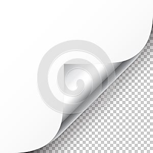 Realistic silver curled page corner with shadow on checkered background. Greeting card design element. Blank sheet of