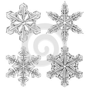 Realistic Snowflake Black And White Icon Set