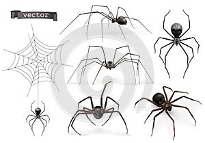 Realistic spider. Halloween 3d vector icon set photo