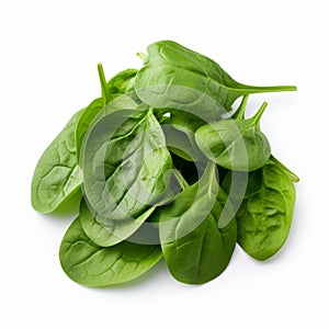 Realistic Spinach Leaves On White Background - Dark Cyan And White Style photo