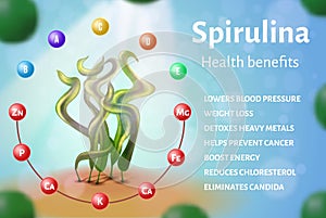 Realistic Spirulina Seaweed Banner Health Benefict photo