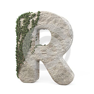 Realistic stone letters with ivy, isolated on a white background