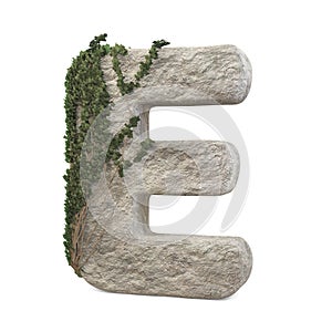 Realistic stone letters with ivy, isolated on a white background