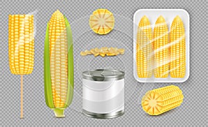 Realistic sweet corn set, vector isolated illustration