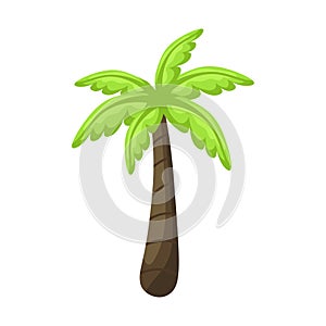 Realistic tall green palm tree isolated on white background - Vector