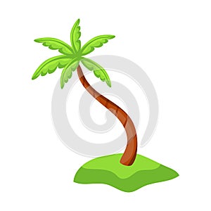 Realistic tall green palm tree isolated on white background - Vector