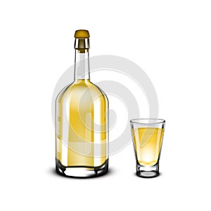 Tequila Bottle And Glass Shot With Golden Alcohol