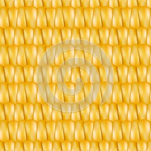 Realistic texture corn, vector illustration.