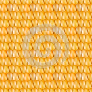 Realistic texture corn, vector illustration.