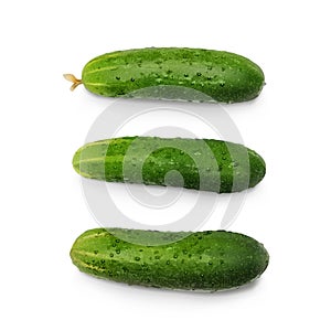 Realistic Three Fresh Cucumbers Set Isolated On White Background