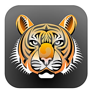 Realistic Tiger's face