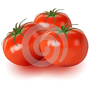 Realistic  of tomatoes isolated on white background