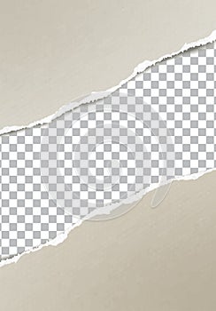 Realistic torn paper edge vector template