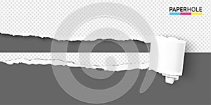 Realistic torn paper scroll and hole on horizontal halfed transparent background for sale poster. Vector illustration