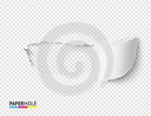 Realistic torn paper scroll and hole on transparent background for sale poster or scrapbooking. Vector illustration