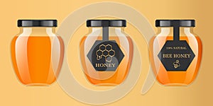 Realistic transparent glass jar with honey. Food bank. Honey packaging design. Honey logo. Mock up glass jar with design