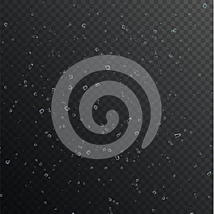 Broken shattered glass debris. Vector transparent