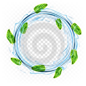 vector circle splash of water with leaves of  mint