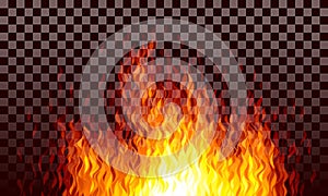 Realistic transparent vector fire flames on black background