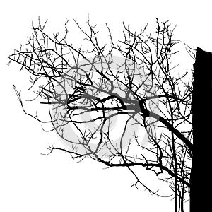 Realistic tree silhouette Vector illustration.Eps10
