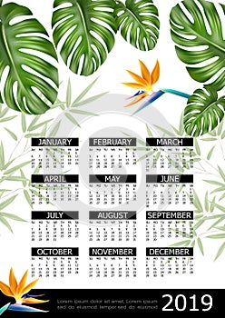 Realistic Tropical 2019 Year Calendar Poster