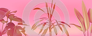 Realistic tropical minimal plant leaves. Tropical tree leaf silhouettes on pink, retro botanic monstera and palm