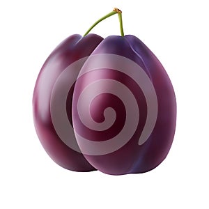 Realistic two juicy ripe plum