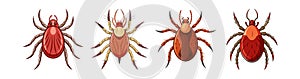 Realistic Twospotted Mite Artwork Highlighting Its Features photo