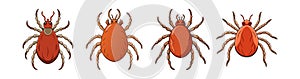 Realistic Twospotted Mite Artwork Highlighting Its Features photo