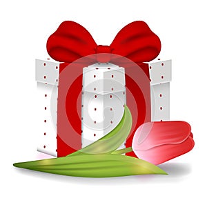 Realistic Vector 3d Gift Box with Red Tulip isolated on white background. Red Bow. Element for Various Holiday Designs. Vector.