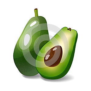 Realistic vector avocado isolated on white background