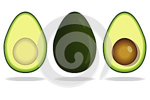 Realistic vector avocado isolated on white background
