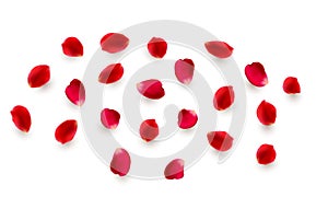 Realistic vector elements set of rose petals. Red petals of rose flower