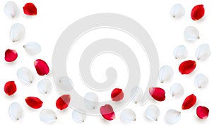 Realistic vector elements set of rose petals. Red and white petals of rose flower