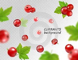 Realistic vector falling red currant isolated on transparent background