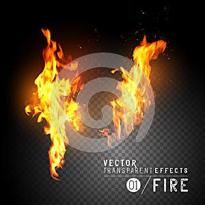 Realistic Vector Fire Flames