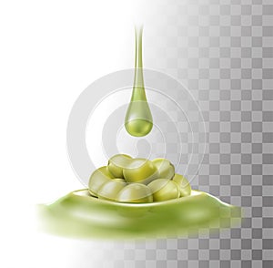 Realistic vector icon. Olive oil drop. Green olives