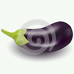 Realistic vector illustration of eggplant on white background