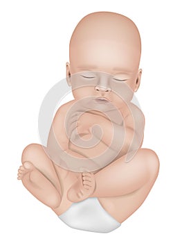 Realistic vector illustration of a newborn baby in a diaper. Sleeping little baby