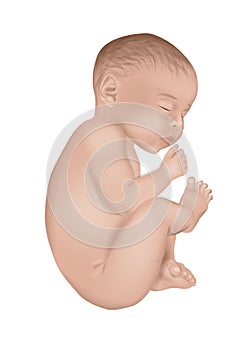 Realistic vector illustration of a newborn little baby in white background. Sleeping baby