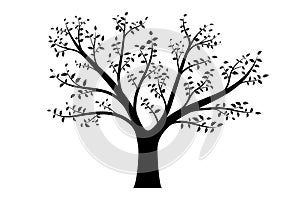 Realistic vector illustration of tree with branches and leaves, isolated