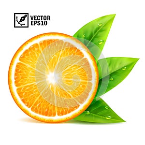 Realistic vector set of elements: slice of fresh orange with leaves and dew drops Editable handmade mesh