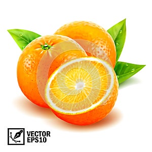 Realistic vector set fresh whole oranges and sliced orange with leaves and dew drops