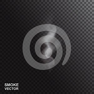 Realistic Vector Smoke or Steam