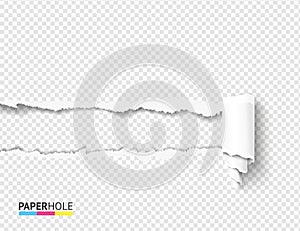 Vector teared off paper hole and scroll with rip edges on transparent background. Empty card banner for advertisement. photo